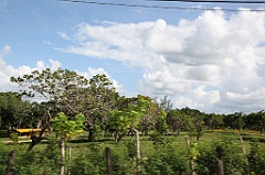 C5D_106834