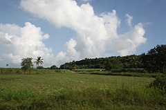 C5D_106860