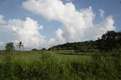 C5D_106861