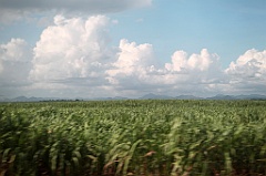 C5D_106863