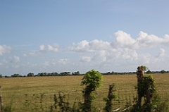 C5D_106864