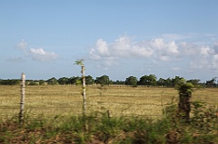 C5D_106866