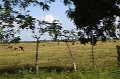 C5D_106867