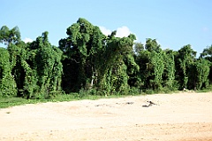 C5D_106870