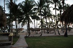 C5D_106876