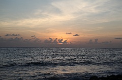C5D_106879