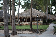 C5D_106880