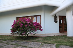 C5D_106969