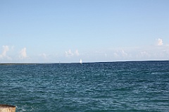 C5D_106976