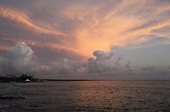 C5D_107081