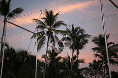 C5D_107087