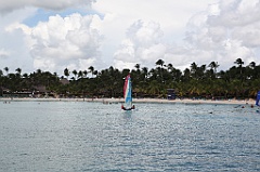 C5D_107213
