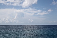 C5D_107216