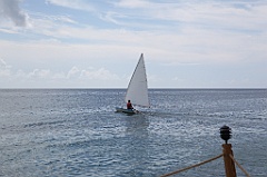 C5D_107239