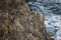 C5D_107260