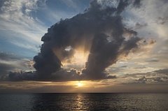 C5D_107264
