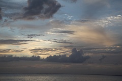 C5D_107276