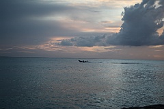 C5D_107293