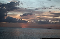 C5D_107295