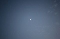 C5D_107298
