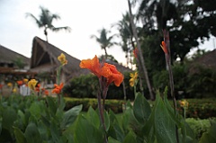 C5D_107415