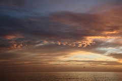 C5D_107454