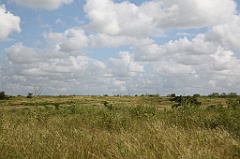 C5D_107473