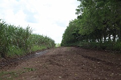 C5D_107476