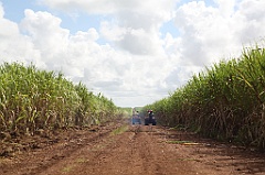 C5D_107479