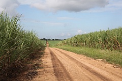 C5D_107490