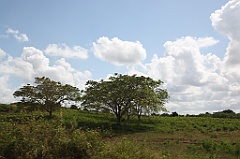 C5D_107500
