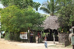 C5D_107506