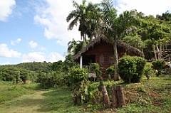 C5D_107508
