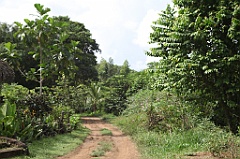 C5D_107509