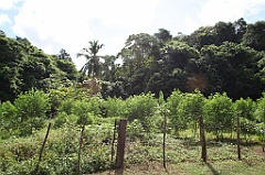 C5D_107513