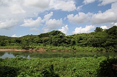 C5D_107539