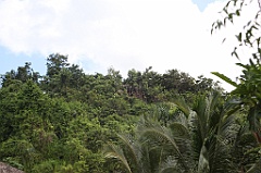 C5D_107541