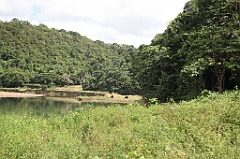 C5D_107547
