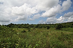 C5D_107549