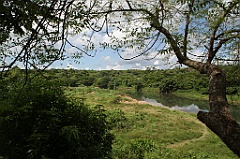 C5D_107550