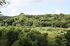 C5D_107552