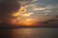 C5D_107650