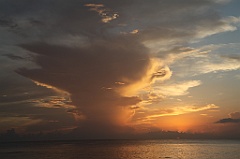 C5D_107651