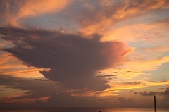 C5D_107678
