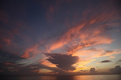 C5D_107684