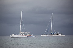 C5D_108209