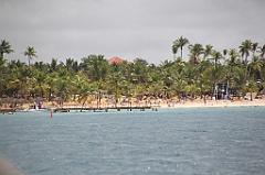 C5D_108243