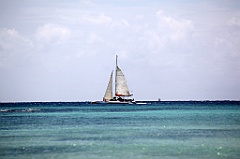 C5D_108300