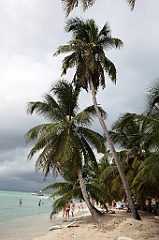 C5D_108306