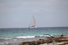 C5D_108331